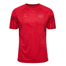 Camisa Seleção Dinamarca Home 22/23 - Copa do Mundo 2022 - Torcedor - Masculina - Vermelho