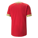 Camisa Seleção Sérvia Home 22/23 - Copa do Mundo 2022 - Torcedor - Masculina - Vermelha