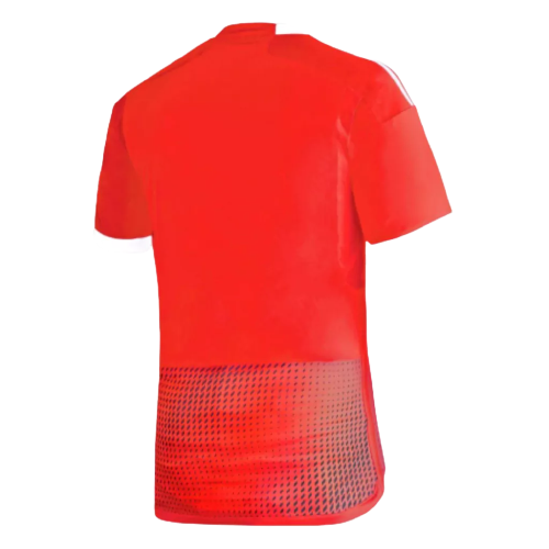 Camisa Seleção Peru Away 22/23 - Torcedor - Masculina - Vermelha